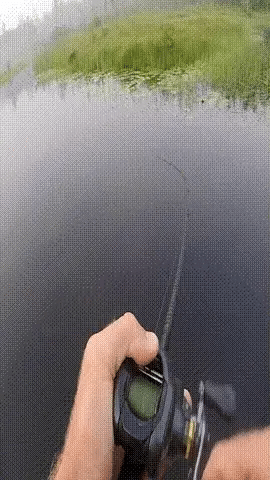 Predator Frog - Topwater Lure Designed for Bass, Pike & Snakehead – image 11