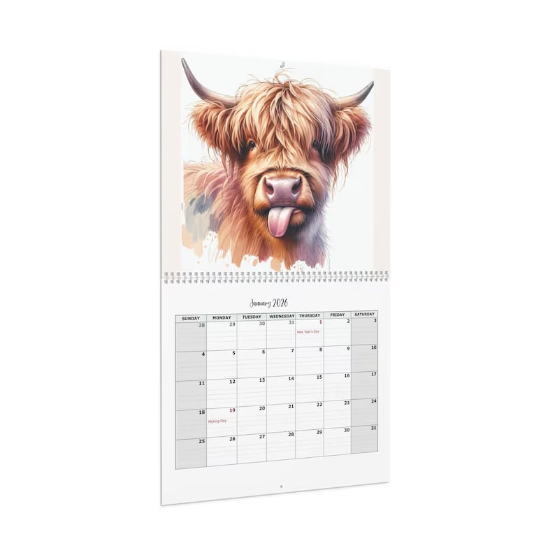 HighlandHugs – 2026 Cute Highland Cow Wall Calendar – image 7