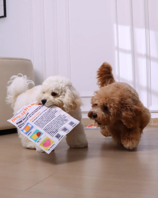 PupChronicle – Interactive Dog Toy – image 8