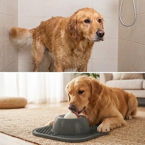 TreatMotion – 2-in-1 Lick Mat Feeding Toy – image 13