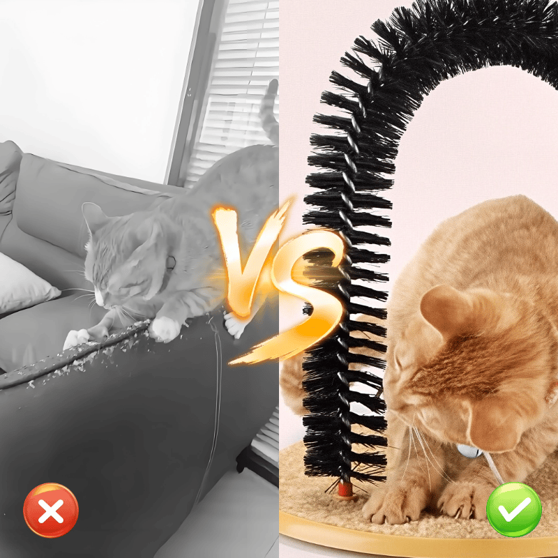 PawArch – Curved Cat Scratching Arch – image 6