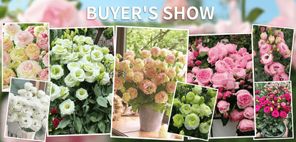 BloomRidge – Hardy Perennial Lisianthus Seeds – image 41