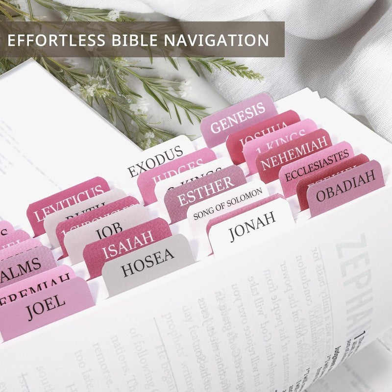 DivineTabs - Ultimate Bible Organizer – image 3
