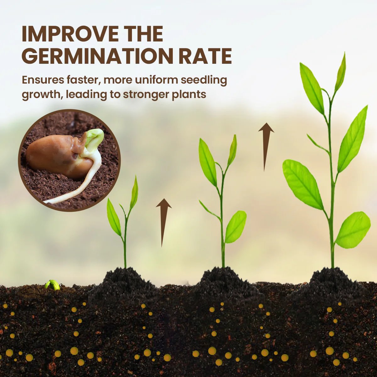 SoilNova – Soil Pro Activator – image 2