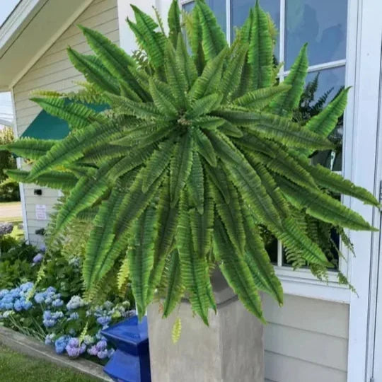 GreenGlow – Realistic Artificial Boston Fern – image 7