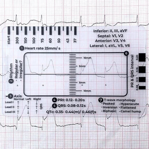 MediTrack – Professional ECG Assessment Pocket Guide – ECG 7 Step Ruler / Buy 1 Get 30% OFF