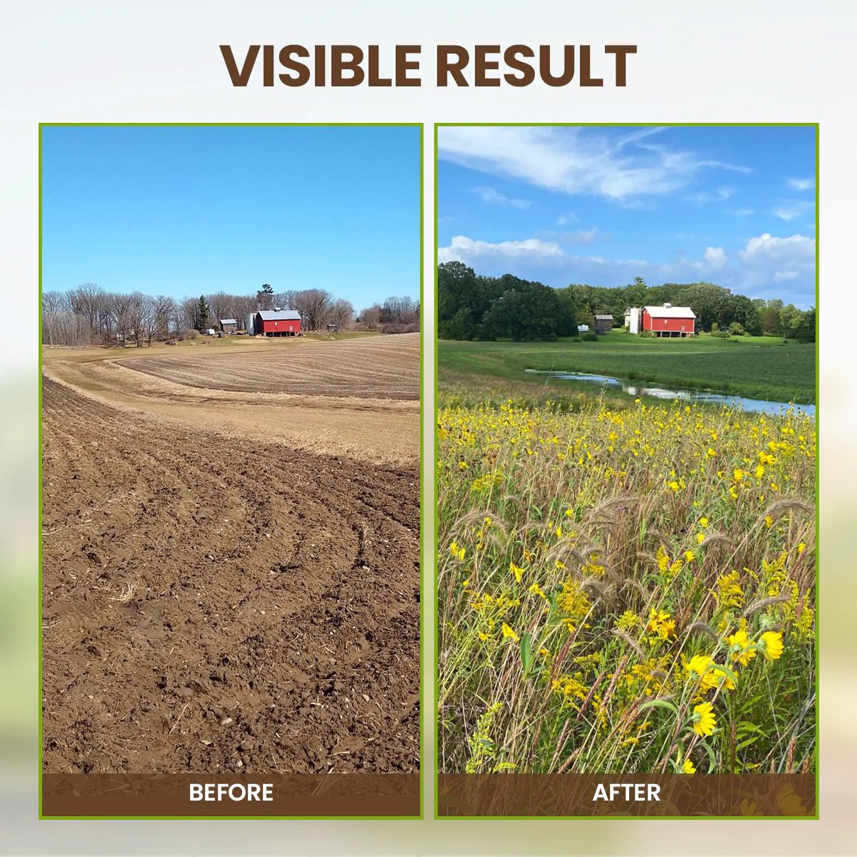 SoilNova – Soil Pro Activator – image 7