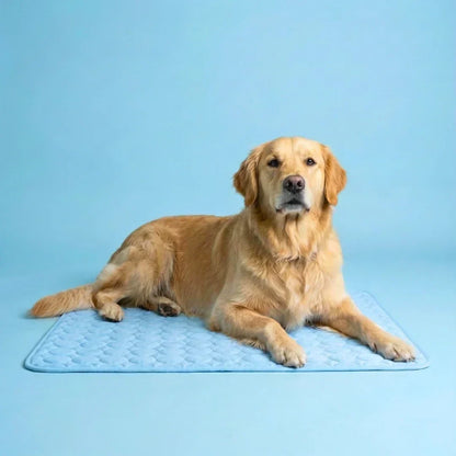 PolarComfort – Breathable Pet Cooling Bed – Blue / 50x40cm