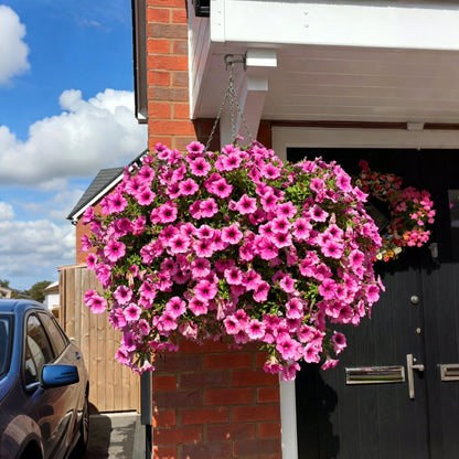 BloomScape – Outdoor Floral Decoration – Pink