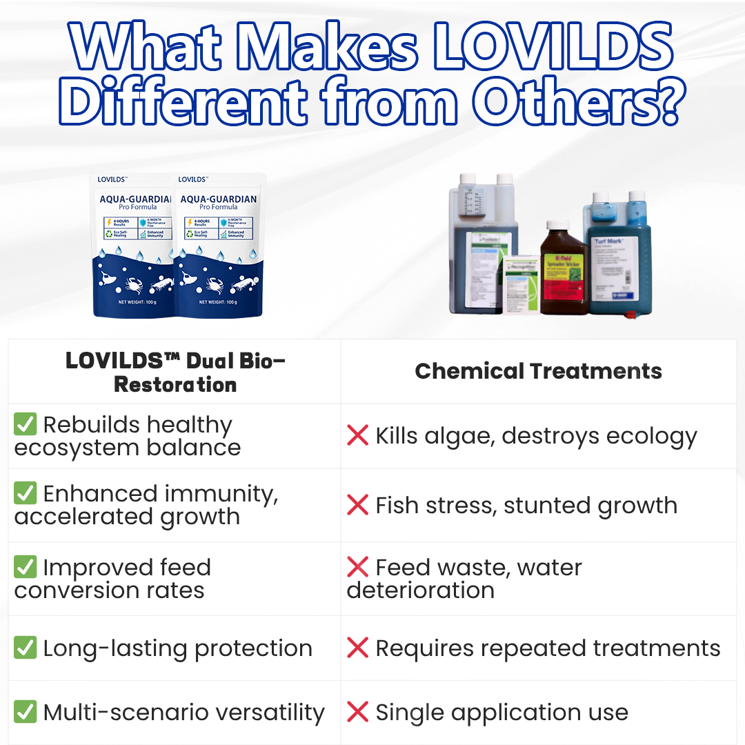 Du Vert au Clair en une Nuit ! | Cristallin en 24 Heures ! | LOVILDS® Aqua-Guardian Formule Pro – image 6
