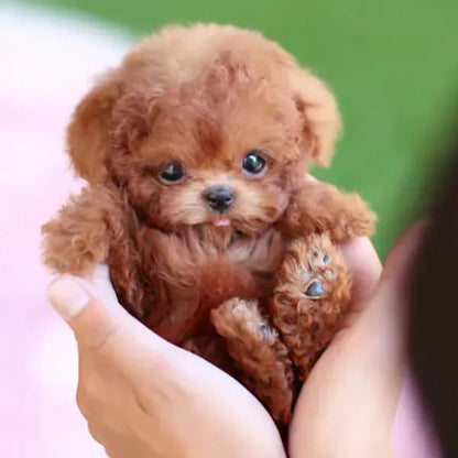 RoboPuppy – Realistic Robot Puppy – Brown