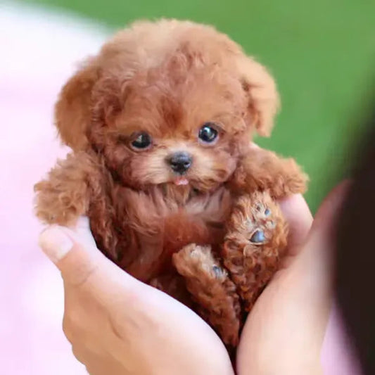 RoboPuppy – Realistic Robot Puppy – Brown