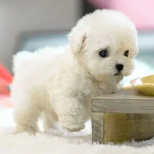 RoboPuppy – Realistic Robot Puppy – image 4