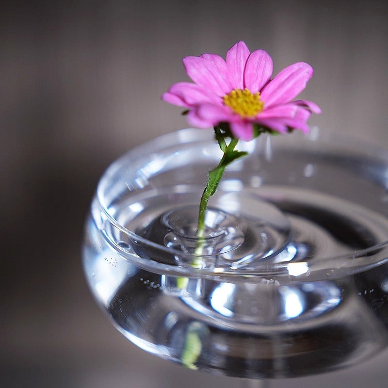 FloraFloat – Creative Floating Floral Arrangement Holder – image 12