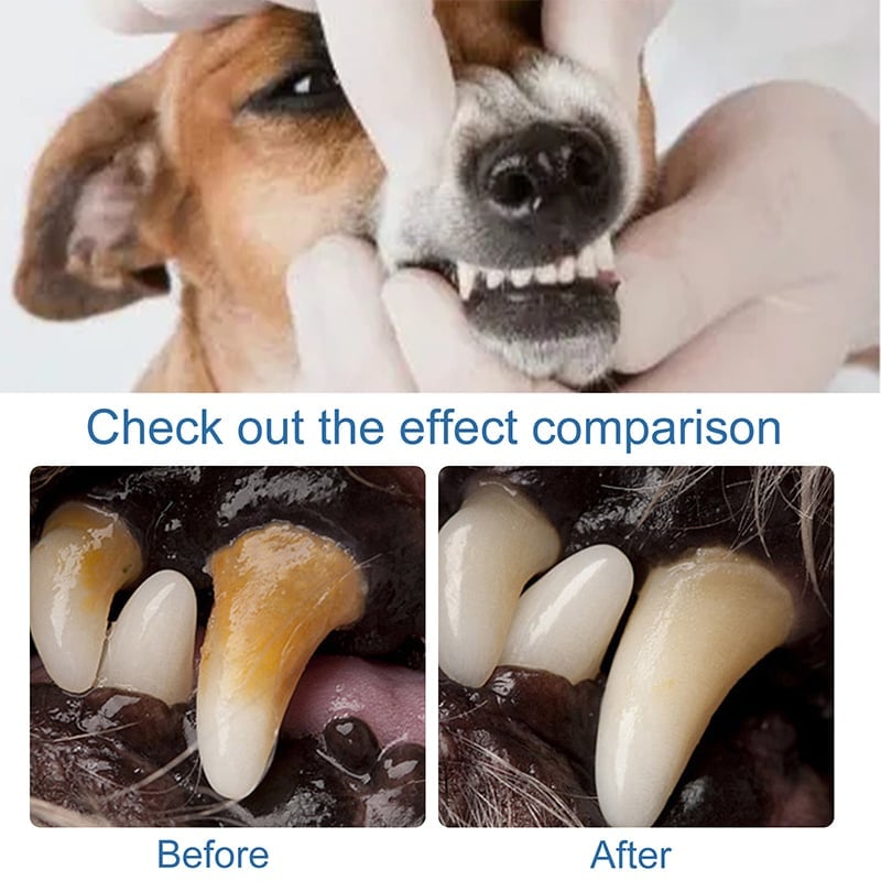 PawFresh – Pet Dental Tartar Care Spray – image 8