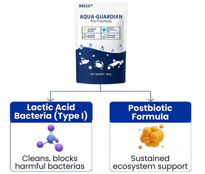 AquaPure – Advanced Water Purifier – image 9