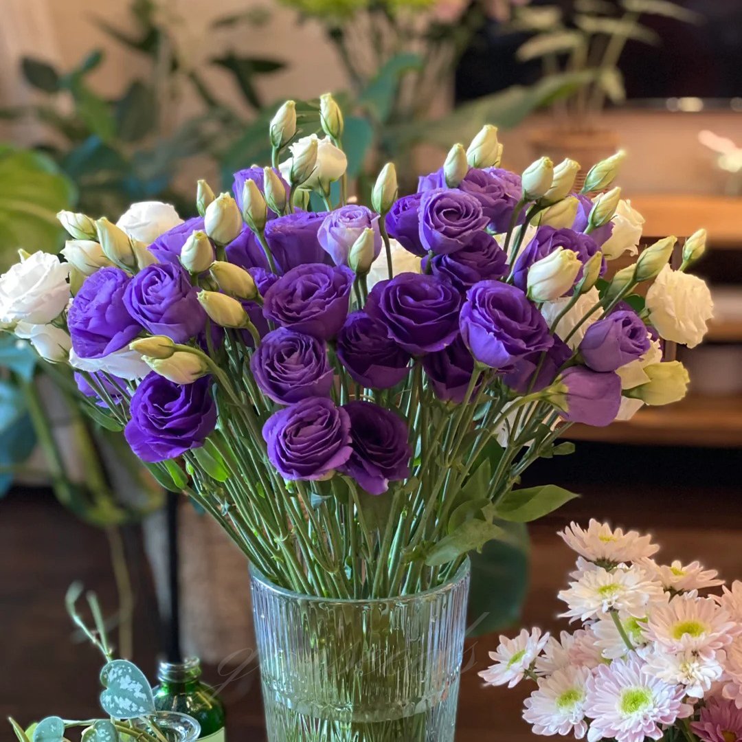 BloomRidge – Hardy Perennial Lisianthus Seeds – image 10