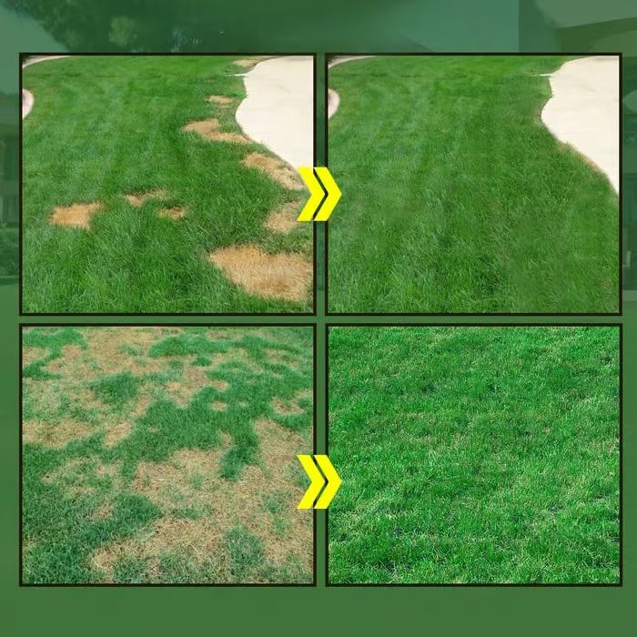 LumeLawn – Professional Spray-On Grass Seed Kit – image 4