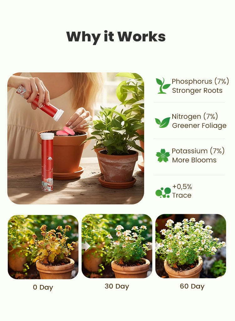 BloomFuel – Plant Growth Formula – image 2