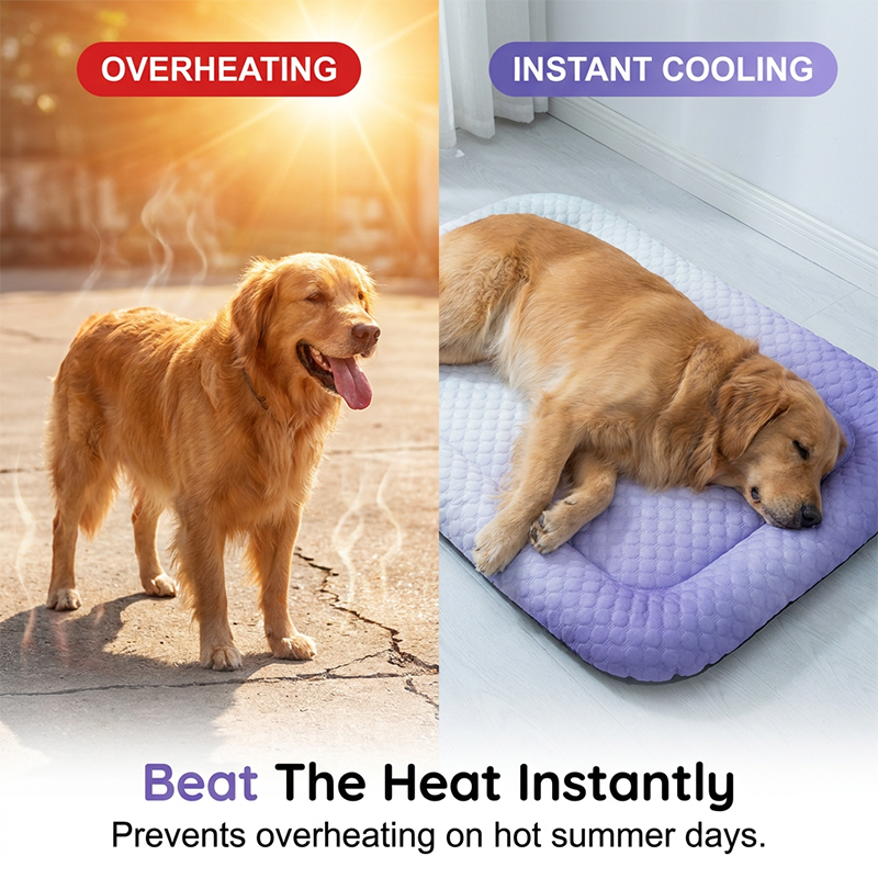 PawChill – Breathable Pet Cooling Mat – image 6