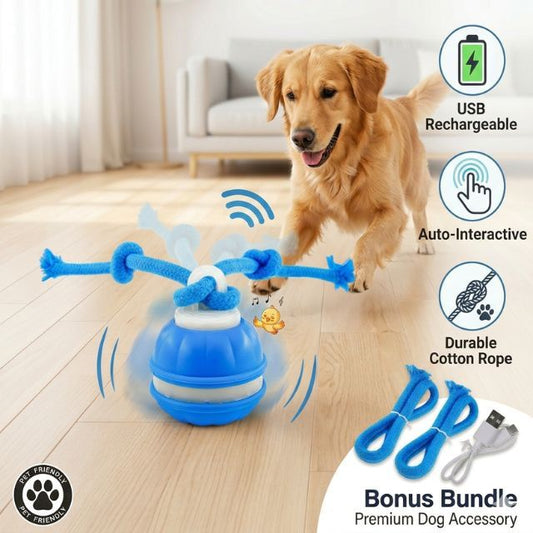WagRoll – Motion Activated Pet Ball – Blue