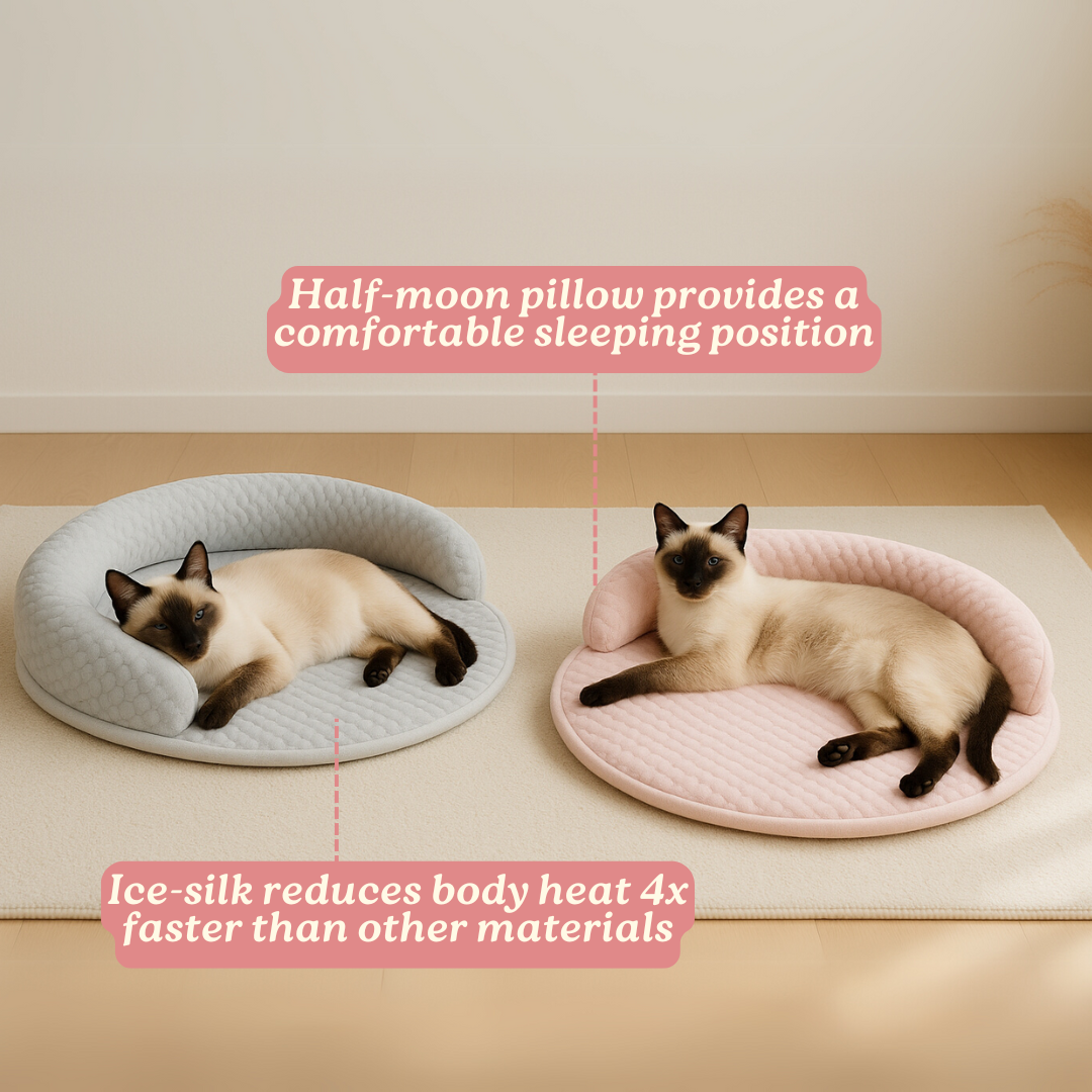 PurrBreeze – Orthopedic Cat Sleep Bed – image 4