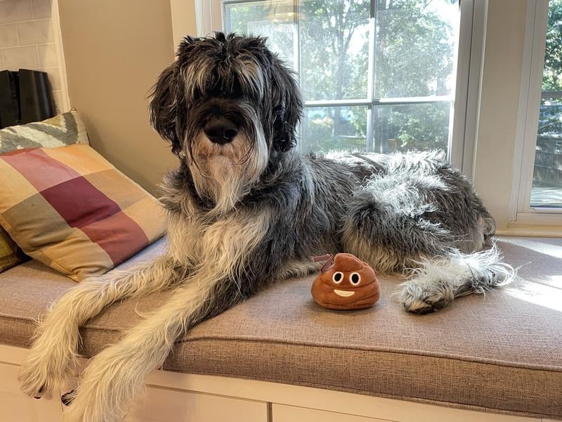 SqueezeBoo – Poop Plush Gag Toy – image 11