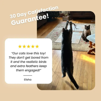 CatVibe – Stimulating Interactive Toy Set – image 7