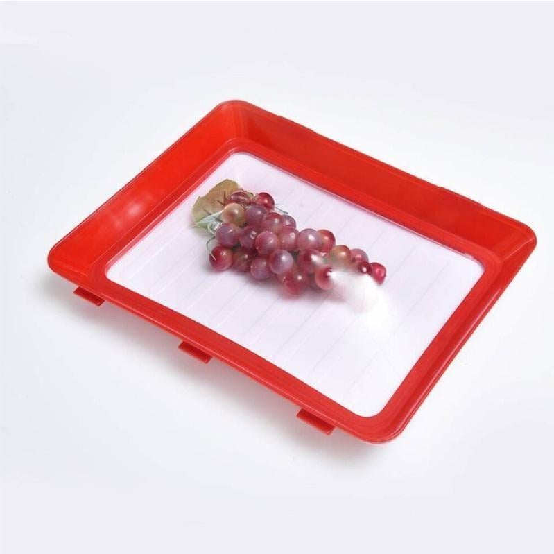 PureLock – Reusable Freshness Food Preserving Tray – Red / 1 PC