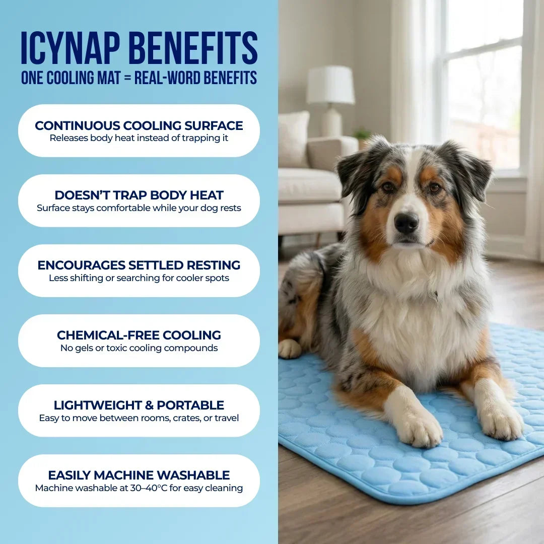 PolarComfort – Breathable Pet Cooling Bed – image 14