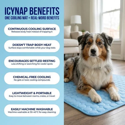 PolarComfort – Breathable Pet Cooling Bed – image 14