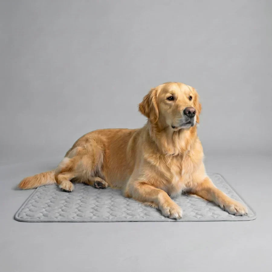 PolarComfort – Breathable Pet Cooling Bed – Grey / 50x40cm