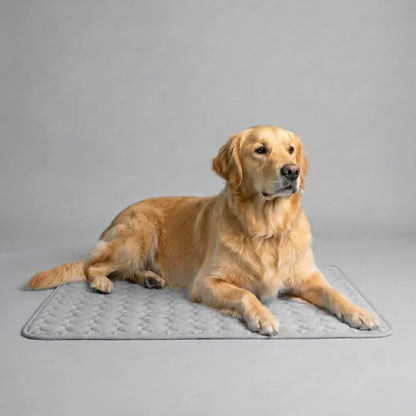 PolarComfort – Breathable Pet Cooling Bed – Grey / 50x40cm