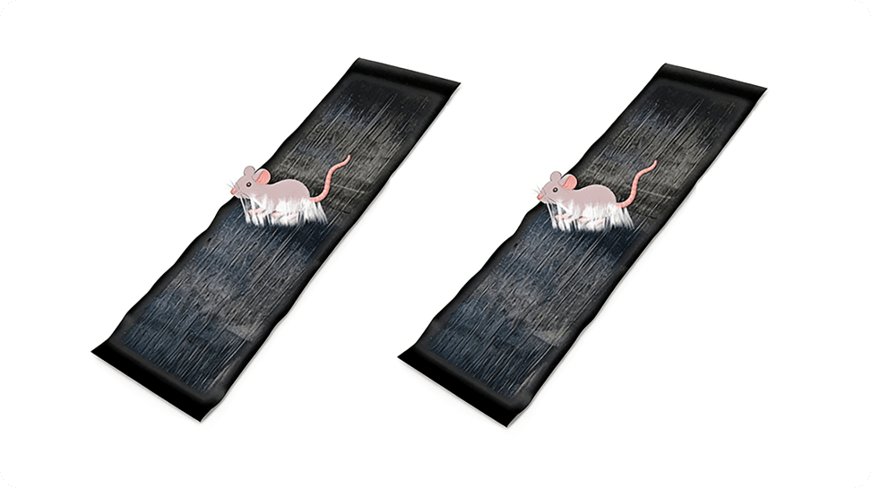 CatchMax – Mouse Trap Mat – image 25