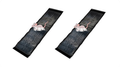 CatchMax – Mouse Trap Mat – image 25