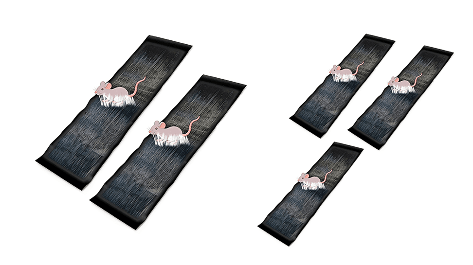 CatchMax – Mouse Trap Mat – image 15
