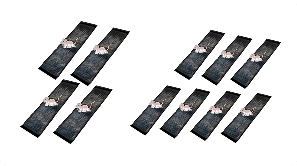CatchMax – Mouse Trap Mat – Black / Extra-Large Rodent-Specific  Sticky Trap Upgrade (1.2m × 27cm) / Buy 4 get 7 free (11 pieces)