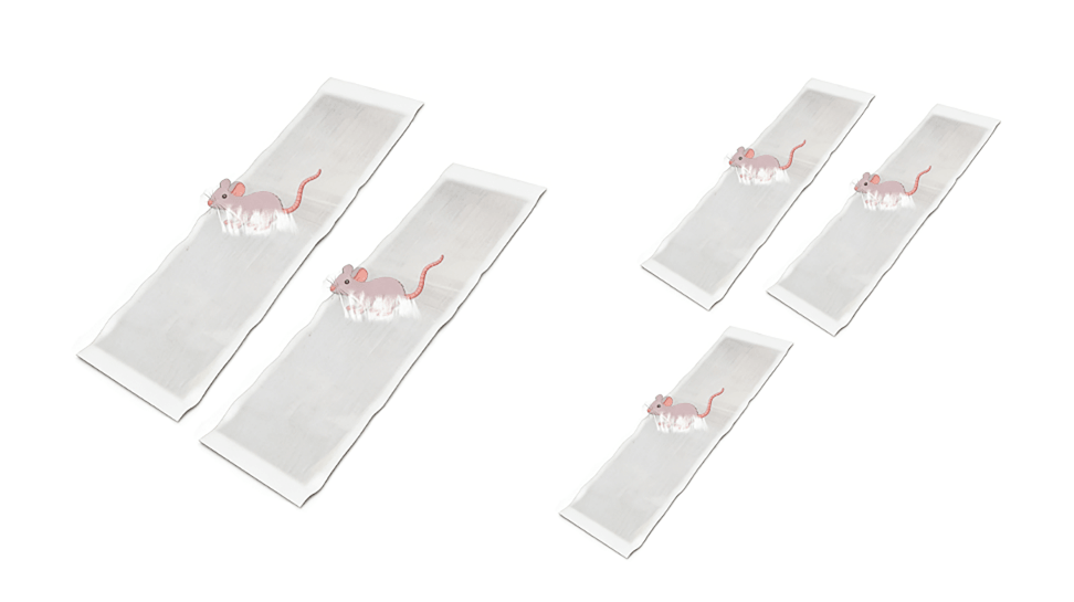 CatchMax – Mouse Trap Mat – Transparent / Extra-Large Rodent-Specific  Sticky Trap Upgrade (1.2m × 27cm) / Buy 2 get 3 free (5 pieces)
