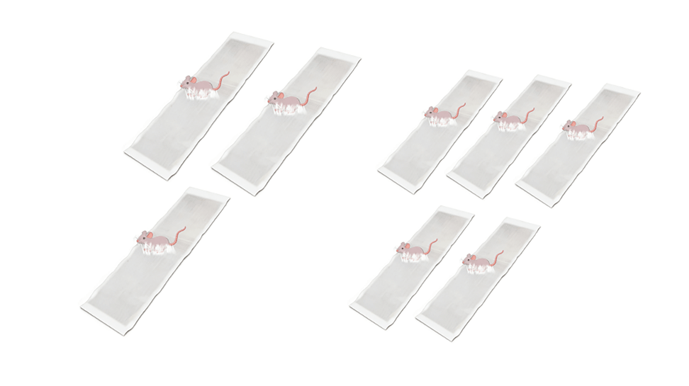 CatchMax – Mouse Trap Mat – Transparent / Extra-Large Rodent-Specific  Sticky Trap Upgrade (1.2m × 27cm) / Buy 3 get 5 free (8 pieces)
