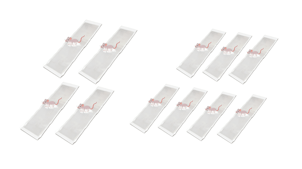 CatchMax – Mouse Trap Mat – Transparent / Extra-Large Rodent-Specific  Sticky Trap Upgrade (1.2m × 27cm) / Buy 4 get 7 free (11 pieces)