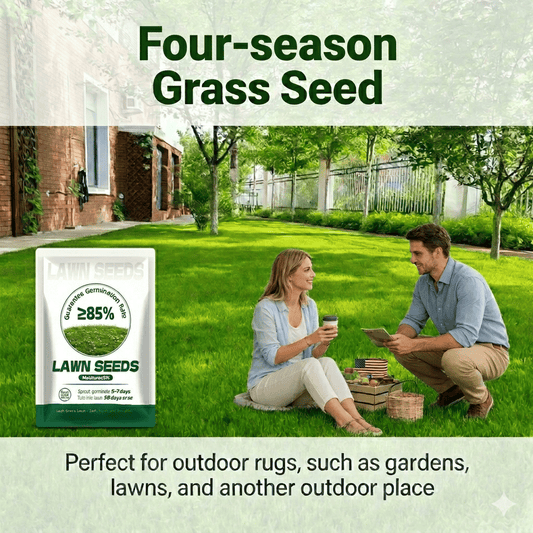 EverLawn – All-Season Green Grass Seed – Buy 1