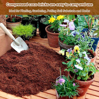NatureSprout – Organic Coconut Coir for Lush Gardens – BUY 1