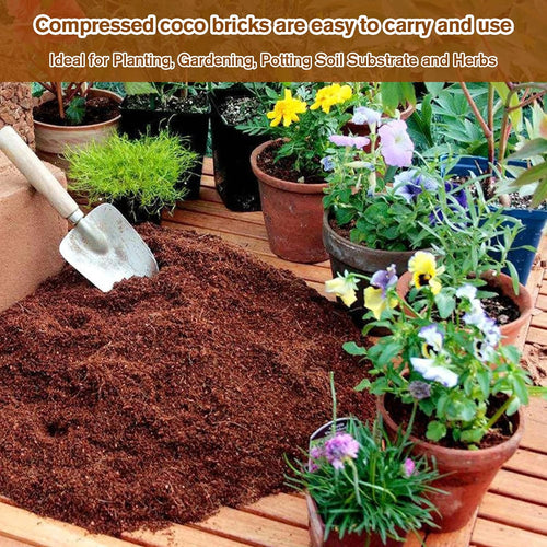 NatureSprout – Organic Coconut Coir for Lush Gardens – BUY 1