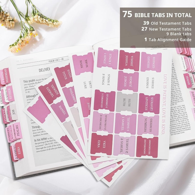 DivineTabs - Ultimate Bible Organizer – image 2
