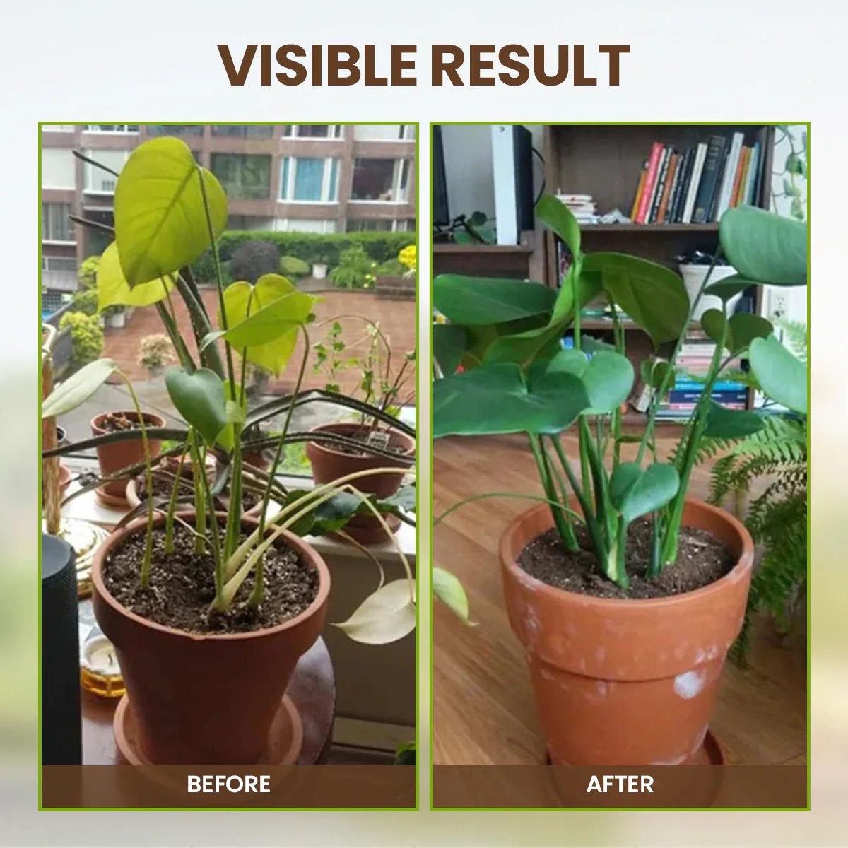 SoilNova – Soil Pro Activator – image 6