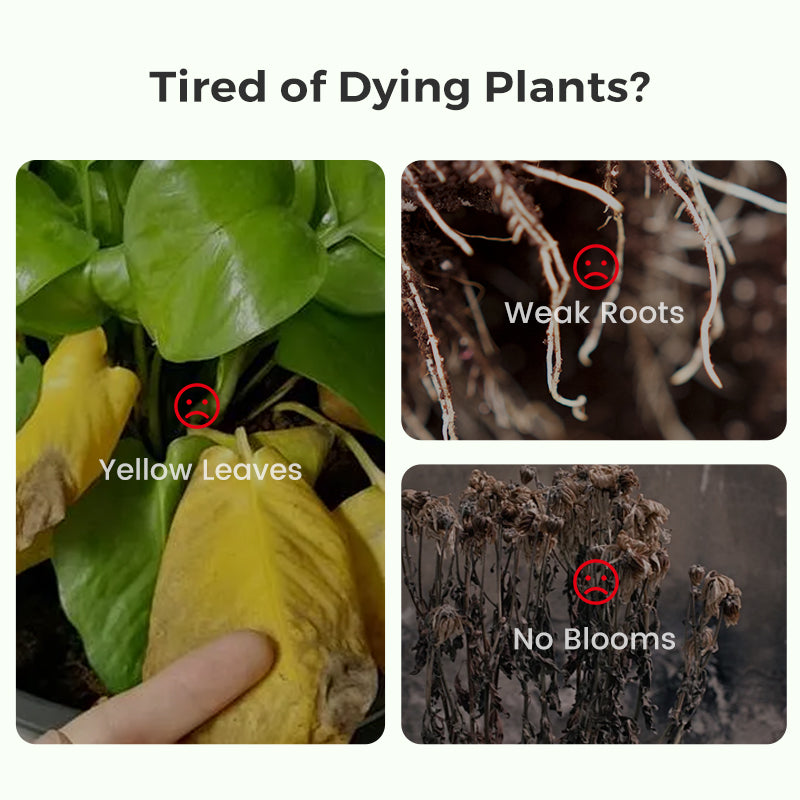 BloomFuel – Plant Growth Formula – image 5