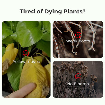 BloomFuel – Plant Growth Formula – image 5