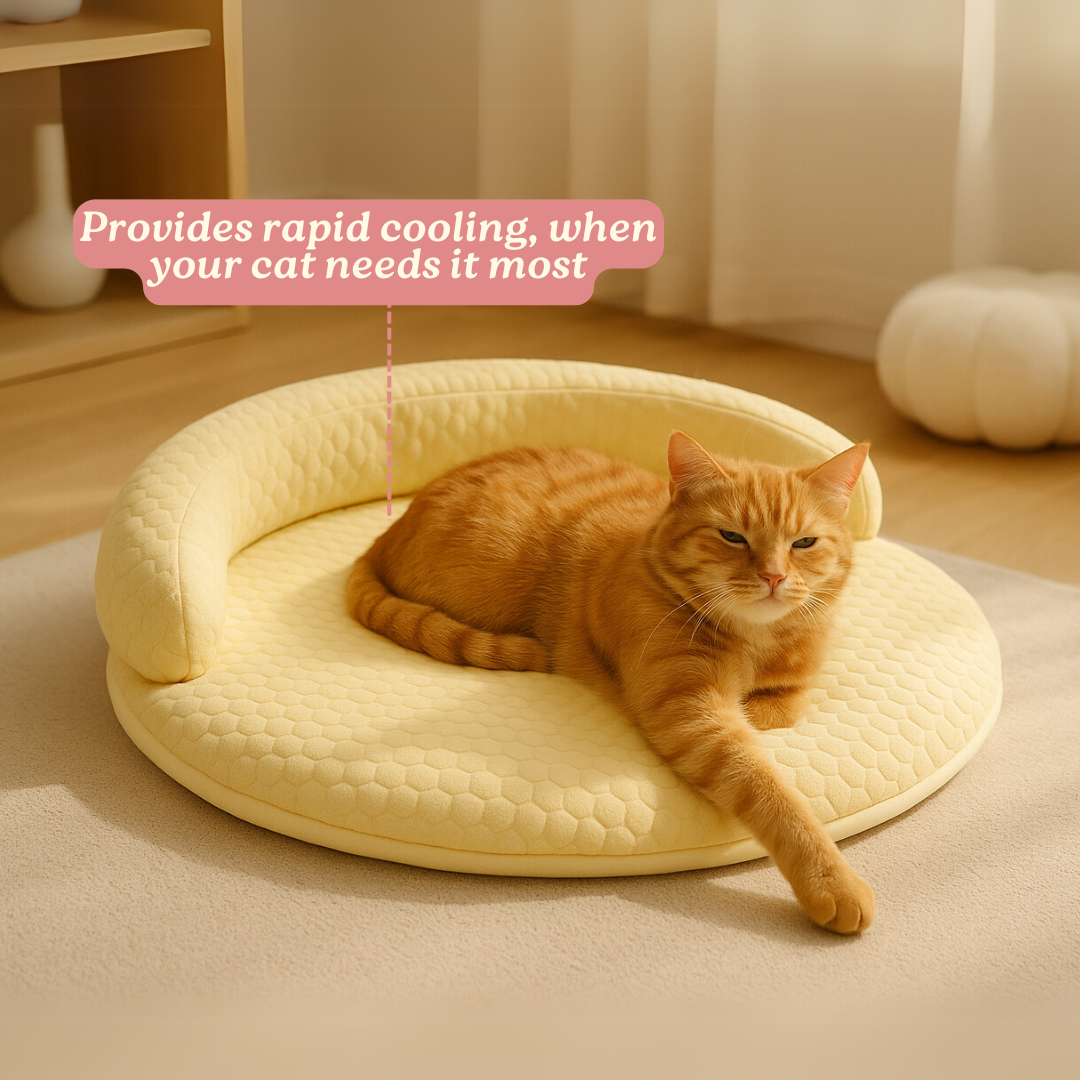 PurrBreeze – Orthopedic Cat Sleep Bed – image 5