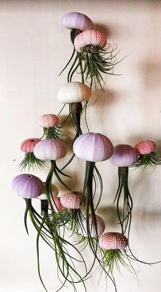 AquaBloom – Hanging Air Plant Jellyfish – image 8