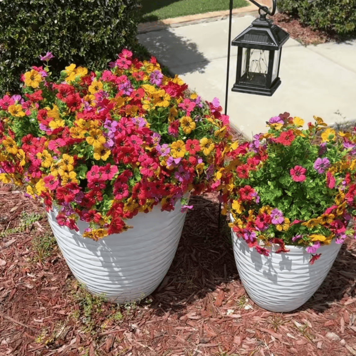 VividPetals – All-Weather Floral Set – image 36